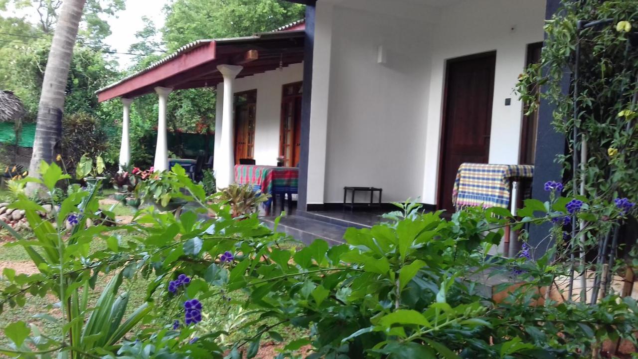 Sigiri Shen Residence 시기리야 외부 사진